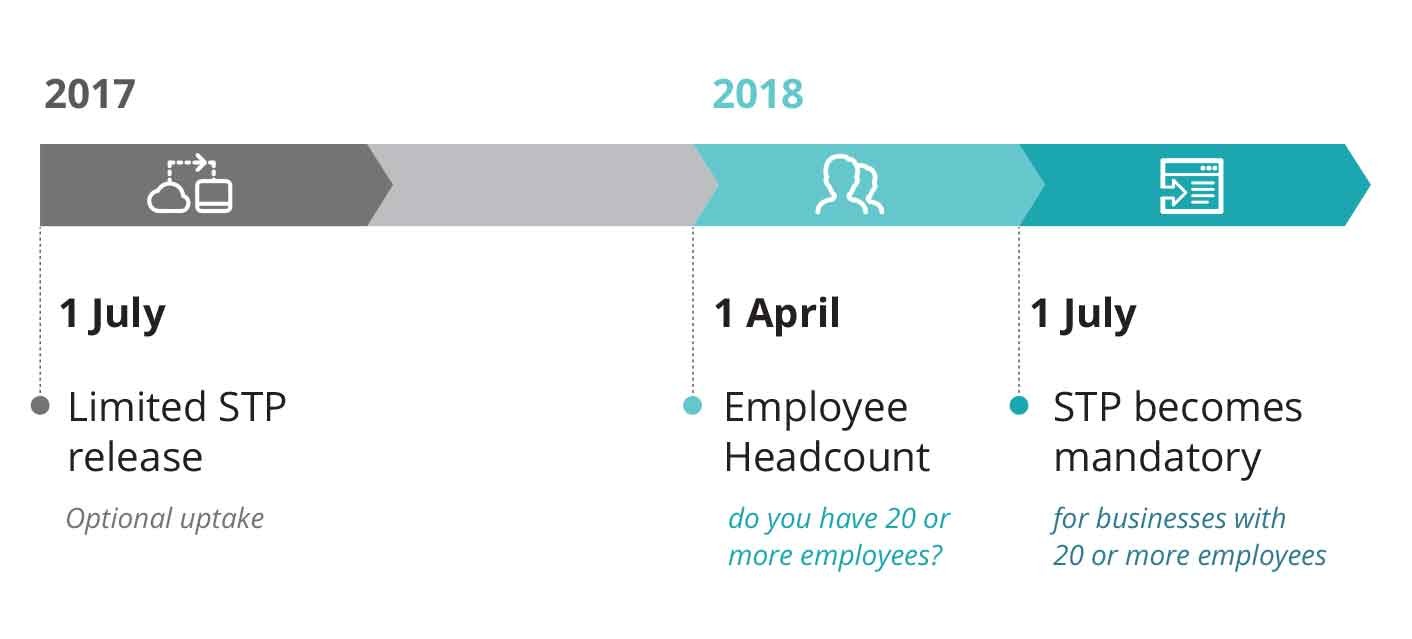 single touch payroll timeline