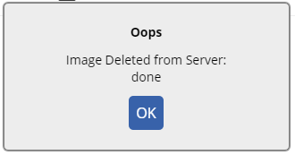 Image deleted server response