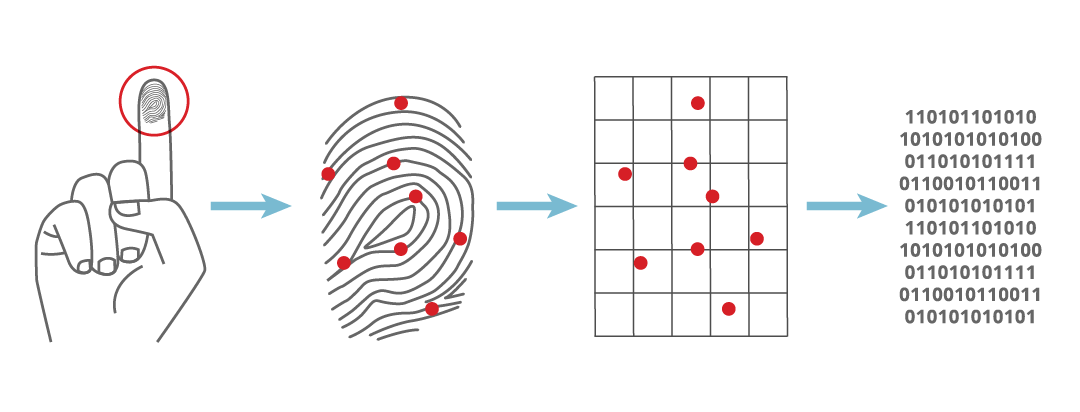 how does a fingerprint scanner work