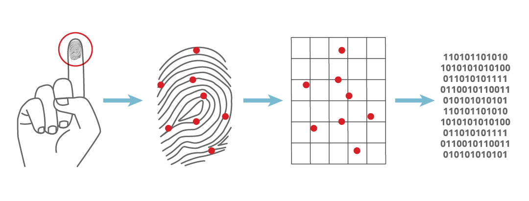 finger scanner works how Fingerprint FAQs Scanner Biometric