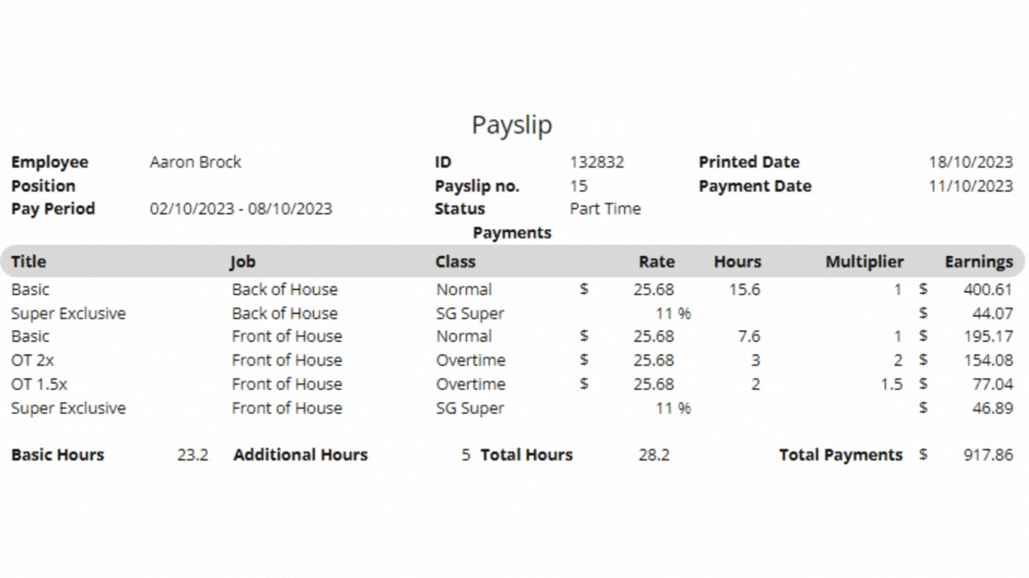 image of payslip with different customization options