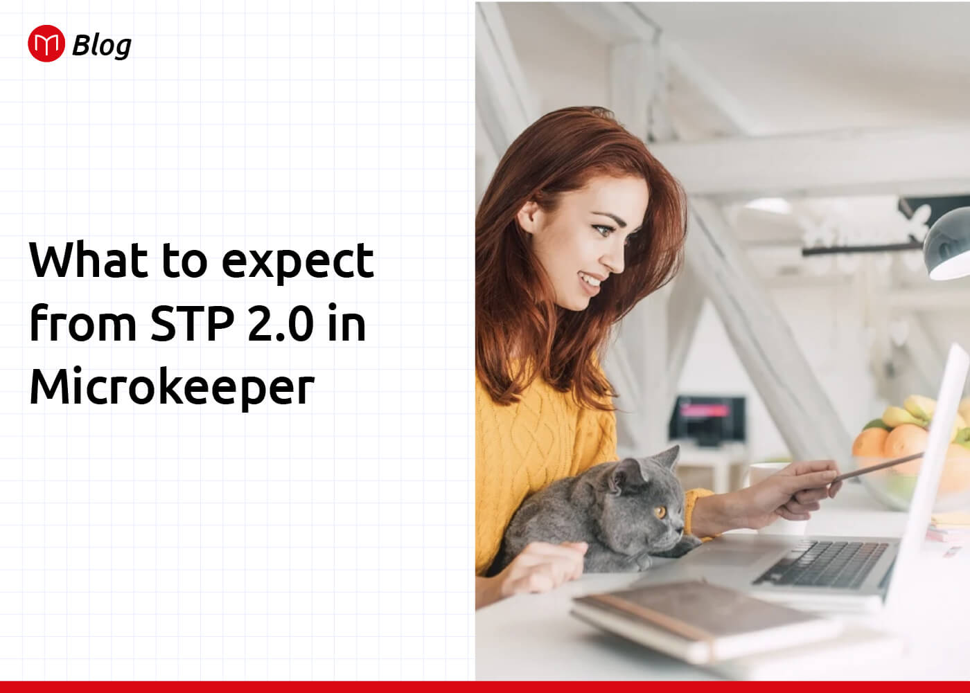 What to expect from STP 2.0 in Microkeeper